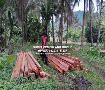 cv. surya cemerlang group, cv surya cemerlang group, surya cemerlang group, surya cemerlang group surabaya, surya cemerlang group sidoarjo, expedisi surabaya, ekspedisi surabaya, ekspedisi terdekat, expedisi terdekat, jasa ekspedisi terdekat, jasa expedisi terdekat, jasa expedisi surabaya, jasa ekspedisi surabaya, expedisi sidoarjo, ekspedisi sidoarjo, jasa expedisi sidoarjo, jasa ekspedisi sidoarjo, expedisi surabaya murah, ekspedisi murah surabaya, jasa ekspedisi surabaya sorong, jasa ekspedisi surabaya makassar, jasa ekspedisi surabaya mataram, jasa ekspedisi surabaya kalimantan, jasa ekspedisi surabaya jakarta, jasa ekspedisi surabaya solo, jasa ekspedisi surabaya bali, jasa ekspedisi surabaya kediri, jasa ekspedisi surabaya papua, jasa ekspedisi surabaya irian, jasa ekspedisi surabaya irian jaya,jasa ekspedisi surabaya sumatera, jasa ekspedisi surabaya sumatra, jasa ekspedisi surabaya maluku, expedisi kapal laut surabaya, ekspedisi kapal laut surabaya, jasa expedisi kapal laut surabaya, jasa ekspedisi kapal laut surabaya, expedisi kapal laut terdekat, ekspedisi kapal laut terdekat, jasa expedisi kapal laut terdekat, jasa ekspedisi kapal laut terdekat, expedisi kapal laut murah surabaya, ekspedisi kapal laut murah surabaya, ekspedisi kapal laut surabaya makassar, ekspedisi kapal laut surabaya jakarta, ekspedisi kapal laut surabaya sulawesi, ekspedisi kapal laut surabaya maluku, ekspedisi kapal laut surabaya papua, ekspedisi kapal laut surabaya irian, ekspedisi kapal laut surabaya bali, ekspedisi kapal laut surabaya kalimantan, ekspedisi kapal laut surabaya sumatera, ekspedisi kapal laut surabaya sumatra, ekspedisi kapal laut surabaya ntt, ekspedisi kapal laut surabaya ntb, jasa expedisi kapal laut murah surabaya, jasa ekspedisi kapal laut murah surabaya, jasa ekspedisi kapal laut surabaya makassar, jasa ekspedisi kapal laut surabaya jakarta, jasa ekspedisi kapal laut surabaya sulawesi, jasa ekspedisi kapal laut surabaya maluku, jasa ekspedisi kapal laut surabaya papua, jasa ekspedisi kapal laut surabaya irian, jasa ekspedisi kapal laut surabaya bali, jasa ekspedisi kapal laut surabaya kalimantan, jasa ekspedisi kapal laut surabaya sumatera, jasa ekspedisi kapal laut surabaya sumatra, jasa ekspedisi kapal laut surabaya ntt, jasa ekspedisi kapal laut surabaya ntb, expedisi tol laut surabaya, ekspedisi tol laut surabaya, jasa expedisi tol laut surabaya, jasa ekspedisi tol laut surabaya, expedisi tol laut terdekat, ekspedisi tol laut terdekat, jasa expedisi tol laut terdekat, jasa ekspedisi tol laut terdekat, expedisi tol laut murah surabaya, ekspedisi tol laut murah surabaya, ekspedisi tol laut surabaya makassar, ekspedisi tol laut surabaya jakarta, ekspedisi tol laut surabaya sulawesi, ekspedisi tol laut surabaya maluku, ekspedisi tol laut surabaya papua, ekspedisi tol laut surabaya irian, ekspedisi tol laut surabaya bali, ekspedisi tol laut surabaya kalimantan, ekspedisi tol laut surabaya sumatera, ekspedisi tol laut surabaya sumatra, ekspedisi tol laut surabaya ntt, ekspedisi tol laut surabaya ntb, jasa expedisi tol laut murah surabaya, jasa ekspedisi tol laut murah surabaya, jasa ekspedisi tol laut surabaya makassar, jasa ekspedisi tol laut surabaya jakarta, jasa ekspedisi tol laut surabaya sulawesi, jasa ekspedisi tol laut surabaya maluku, jasa ekspedisi tol laut surabaya papua, jasa ekspedisi tol laut surabaya irian, jasa ekspedisi tol laut surabaya bali, jasa ekspedisi tol laut surabaya kalimantan, jasa ekspedisi tol laut surabaya sumatera, jasa ekspedisi tol laut surabaya sumatra, jasa ekspedisi tol laut surabaya ntt, jasa ekspedisi tol laut surabaya ntb, pengiriman barang surabaya, jasa pengiriman barang surabaya, pengiriman barang terdekat, pengiriman barang termurah, jasa pengiriman barang terdekat, jasa pengiriman barang termurah, pengiriman paket, pengiriman paket terdepat, pengiriman cargo terdekat, pengiriman cargo surabaya, jasa pengiriman cargo surabaya, pengiriman container surabaya, pengiriman kontainer surabaya, jasa pengiriman container surabaya, jasa pengiriman kontainer surabaya, pengiriman container terdekat, pengiriman kontainer terdekat, jasa pengiriman container terdekat, jasa pengiriman kontainer terdekat, pengiriman container termurah surabaya, pengiriman kontainer termurah surabaya, jasa pengiriman container termurah surabaya, jasa pengiriman kontainer termurah surabaya, pengiriman kontainer antar pulau, pengiriman kontainer antar pulau surabaya, jasa pengiriman kontainer antar pulau, jasa pengiriman kontainer antar pulau surabaya, pengiriman kontainer domestik, pengiriman kontainer lewat laut, jasa angkut container, jasa angkut container surabaya, jasa angkut kontainer, jasa angkut kontainer surabaya, jasa angkut container terdekat, jasa angkut container termurah, jasa angkut kontainer terdekat, jasa angkut kontainer termurah, supplier kayu kelapa, supplier kayu kelapa surabaya, jasa supplier kayu kelapa, jasa supplier kayu kelapa surabaya, supplier kayu kelapa indonesia, supplier kayu kelapa sidoarjo, supplier kayu kelapa gresik, supplier kayu kelapa madura, supplier kayu kelapa jawa timur, distributor kayu kelapa, distributor kayu kelapa surabaya, distributor kayu kelapa indonesia, distributor kayu kelapa sidoarjo, distributor kayu kelapa gresik, distributor kayu kelapa madura, distributor kayu kelapa jawa timur, Supplier Kayu Kelapa di Surabaya, supplier kayu kelapa sulawesi, supplier kayu kelapa surabaya sulawesi, supplier kayu kelapa surabaya maluku, supplier kayu kelapa sulawesi surabaya, supplier kayu kelapa sulawesi kota sby jawa timur, supplier sembako surabaya, supplier sembako di surabaya, supplier sembako sidoarjo, supplier sembako di sidoarjo, supplier sembako gresik, supplier sembako di gresik, distributor sembako surabaya, distributor sembako di surabaya, distributor sembako sidoarjo, distributor sembako di sidoarjo, distributor sembako gresik, distributor sembako di gresik, perusahaan perdagangan umum, perusahaan perdagangan umum surabaya, general contractor, general contractor surabaya, general contractor sidoarjo, general contractor gresik, profil perusahaan perdagangan umum, perusahaan pengiriman container, perusahaan pengiriman kontainer, perusahaan pengiriman container surabaya, perusahaan pengiriman kontainer surabaya, pengiriman kontainer, pengiriman kontainer domestik, pengiriman kontainer makassar, pengiriman kontainer surabaya, pengiriman kontainer lewat laut, pengiriman kontainer ke papua, pengiriman kontainer sulawesi, pengiriman kontainer kalimantan, pengiriman kontainer bali, pengiriman kontainer sumatra, jasa pengiriman kontainer, jasa pengiriman kontainer terdekat, pengiriman kontainer terdekat, jasa pengiriman kontainer terdekat, jasa pengiriman kontainer domestik, jasa pengiriman kontainer makassar, jasa pengiriman kontainer surabaya, jasa pengiriman kontainer lewat laut, jasa pengiriman kontainer ke papua, jasa pengiriman kontainer sulawesi, jasa pengiriman kontainer kalimantan, jasa pengiriman kontainer bali, jasa pengiriman kontainer sumatra